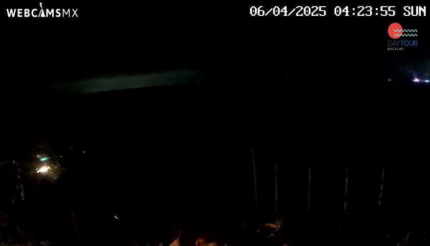 A dark, nighttime scene shows a few distant lights and a sliver of light on the horizon.