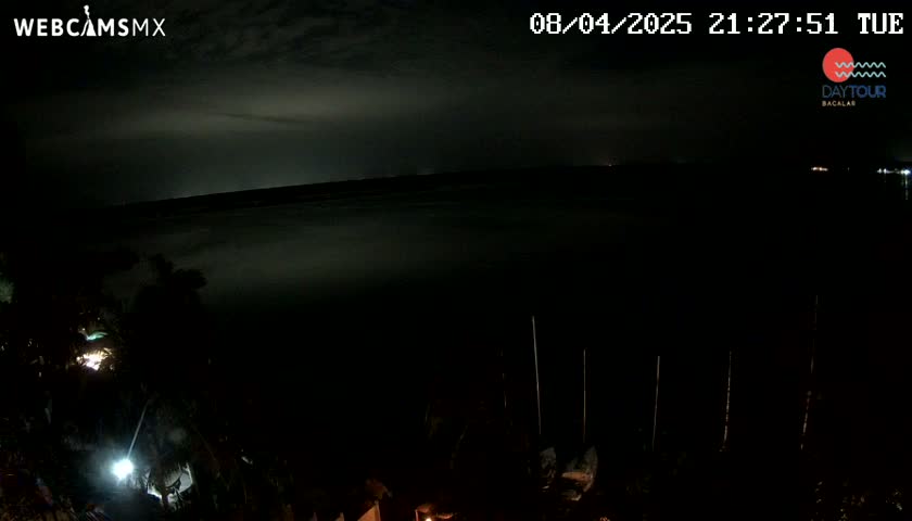 A nighttime view of a dark body of water under a cloudy sky, with some vegetation visible in the foreground.