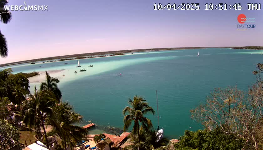 A panoramic view of a teal lagoon with several sailboats and palm trees lining the shore under a clear sky.