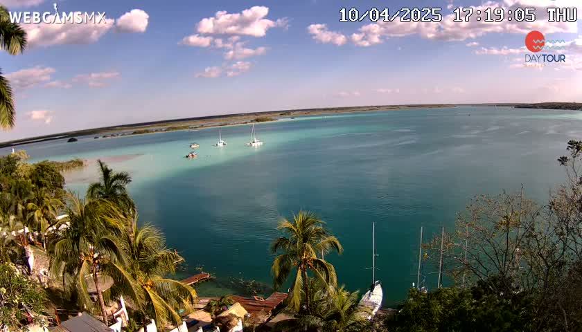 A partly cloudy day shows a tranquil turquoise body of water with several sailboats anchored near a shore lined with palm trees.