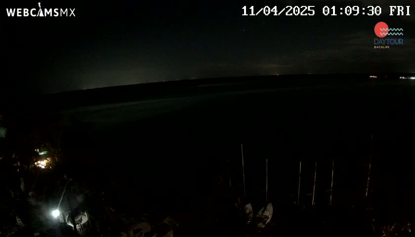 A nighttime view of a dark body of water under a mostly clear sky, with dimly lit objects visible in the foreground.