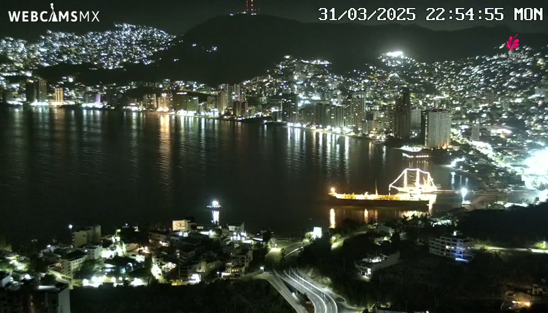 A nighttime view of a city illuminated along a calm bay, with a large ship docked near the shore.