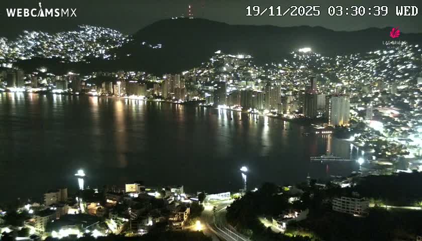 A bustling coastal city glows vibrantly at night, with myriad lights illuminating buildings along the shore and up the surrounding hills, reflecting on the dark, calm water of a bay under a clear sky.