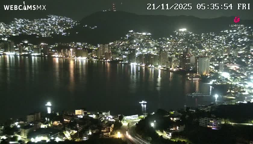 A clear night view reveals a bustling city lit up along a calm bay, with countless lights shimmering from buildings nestled into the surrounding hills and reflecting on the water.