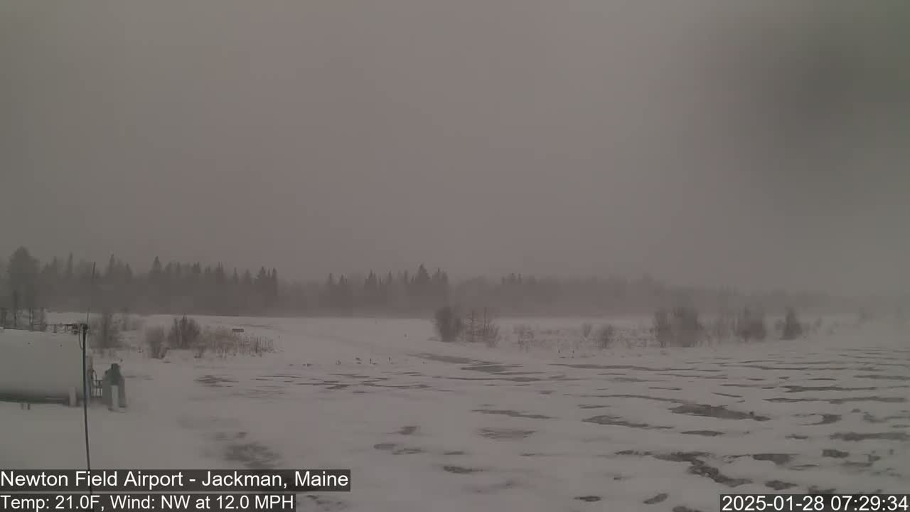 A snow-covered landscape with a hazy, overcast sky and a line of trees in the distance, under windy, cold conditions.