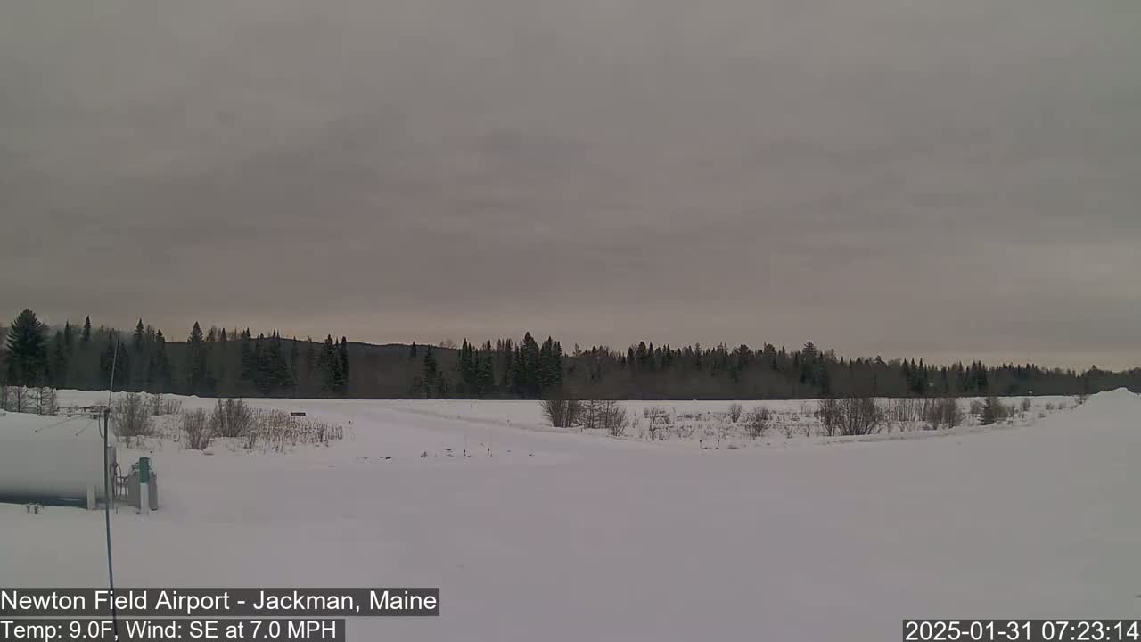A snow-covered field stretches out before a line of dark evergreen trees under a gray, overcast sky.
