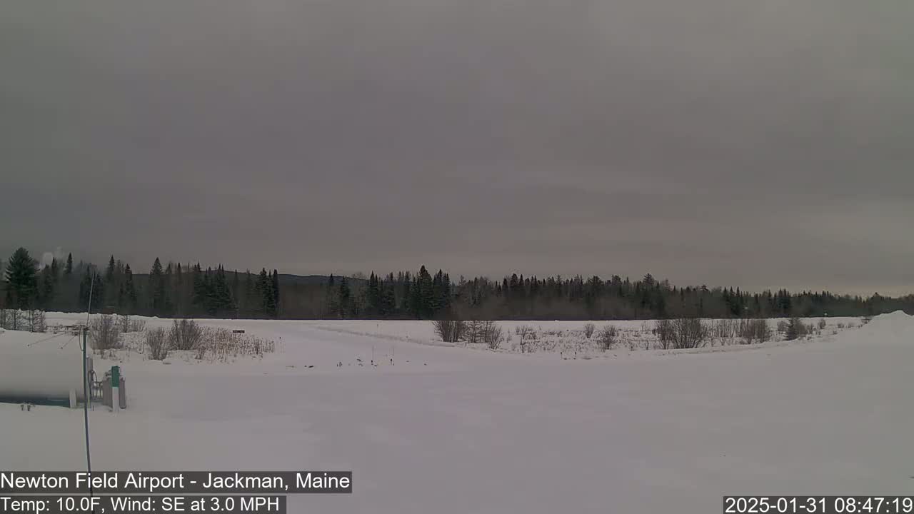 A snow-covered field stretches to a dark line of trees under an overcast sky.