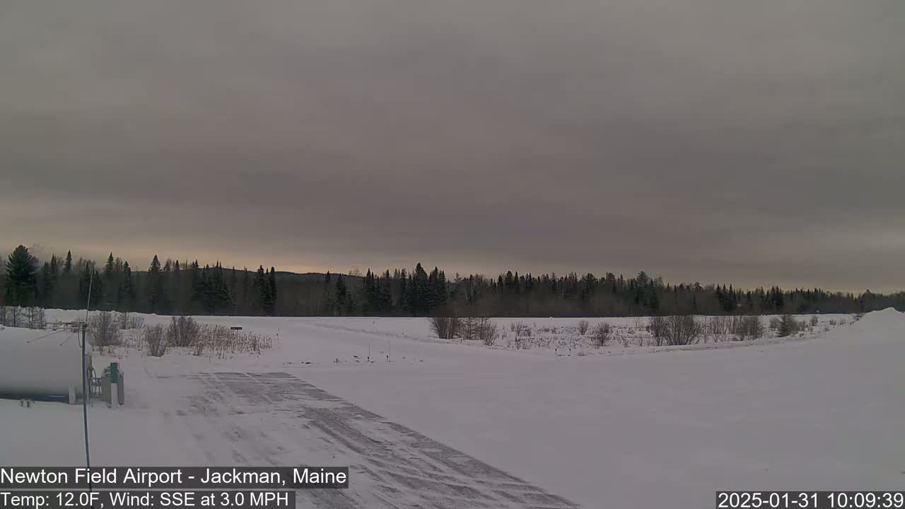 A snow-covered airfield with a line of evergreen trees in the background under an overcast sky.