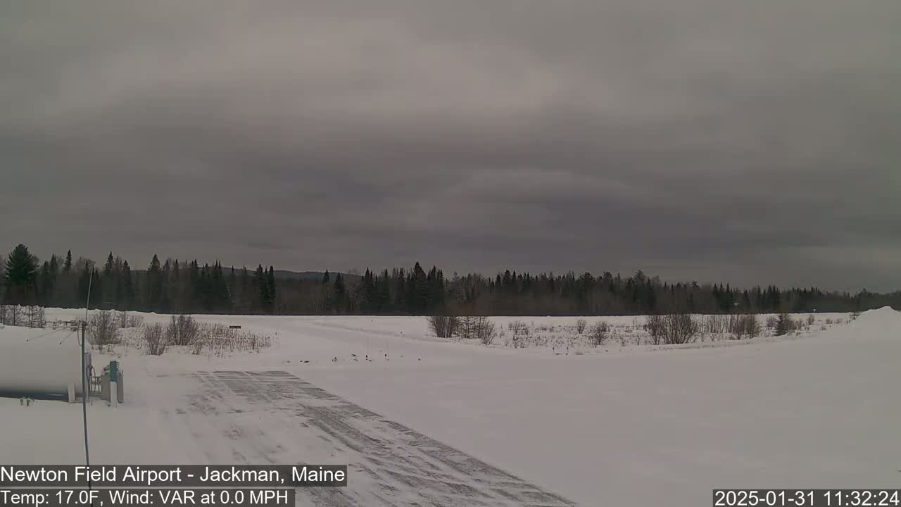 A snow-covered airfield is visible under an overcast sky, with a line of dark evergreen trees in the background.