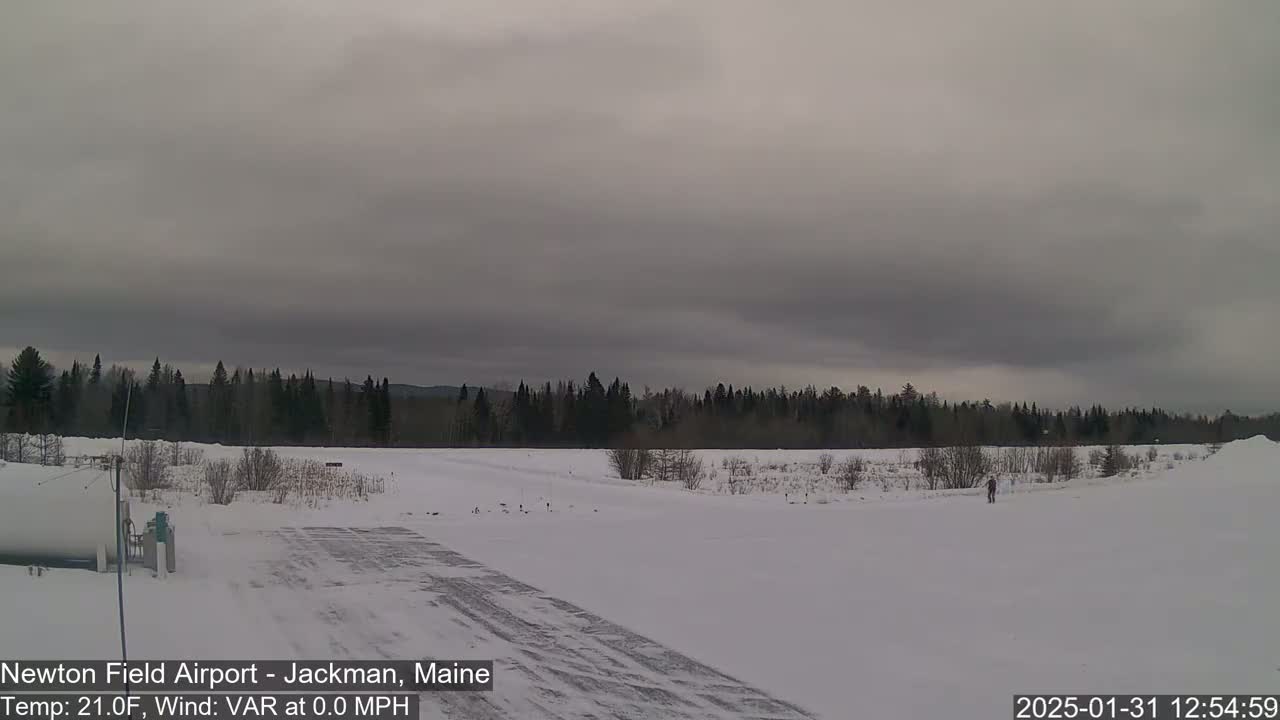 A snow-covered airfield is visible, under an overcast sky, with a line of trees in the background.