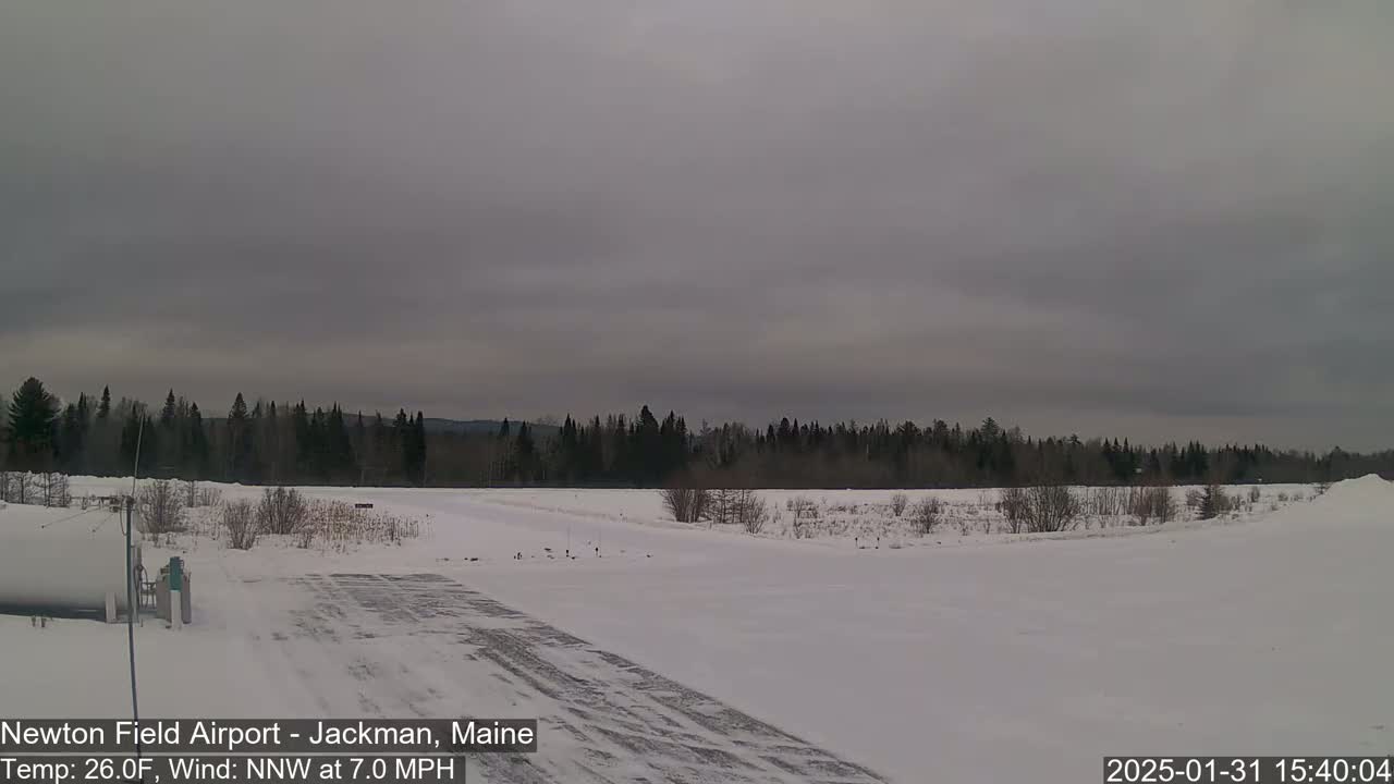 A snow-covered airfield with a line of trees in the background under an overcast sky.