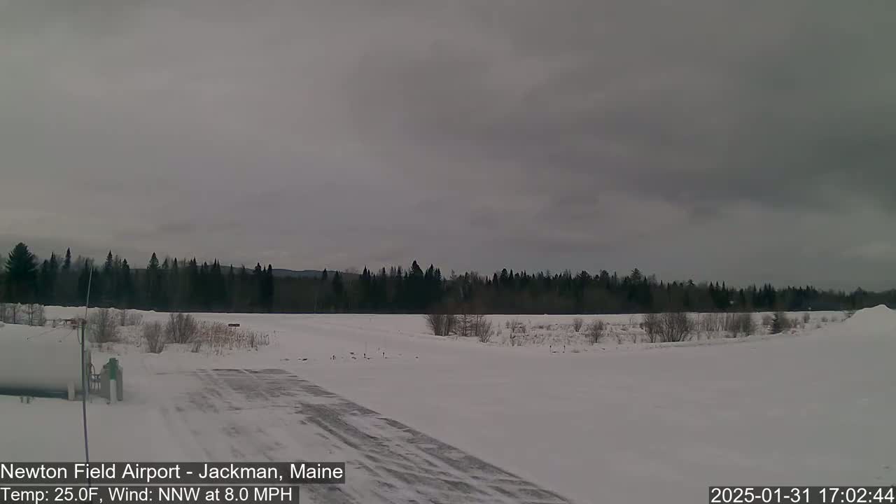 A snow-covered airfield extends towards a line of dark evergreen trees under an overcast sky.