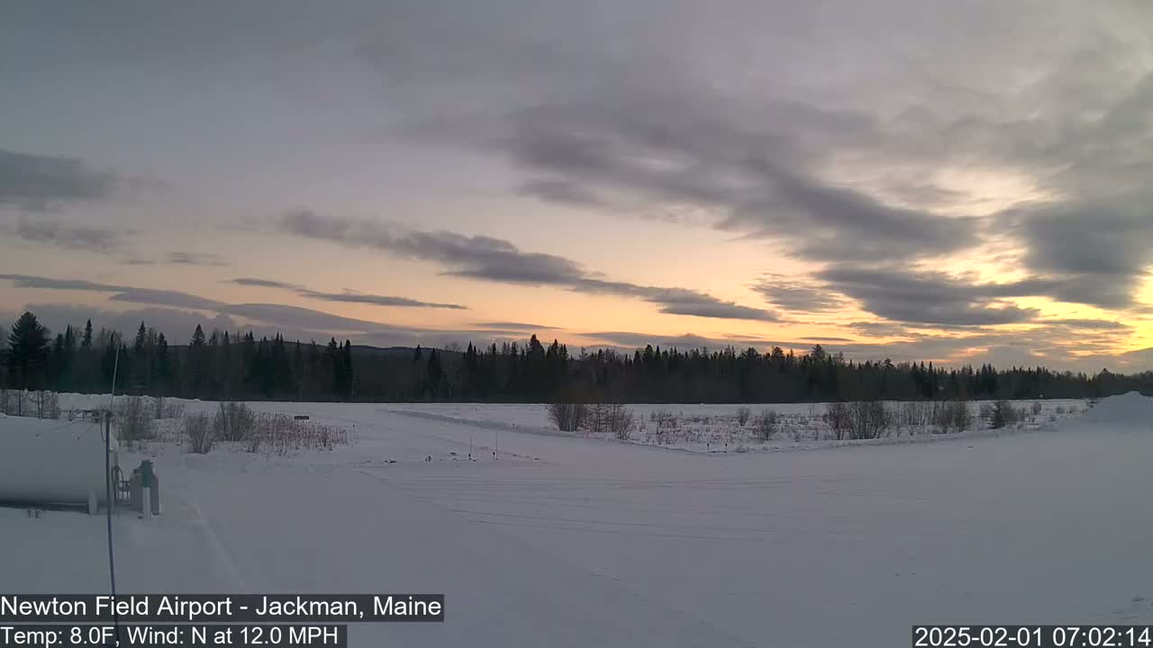 A snowy, flat landscape with a line of dark trees in the background under a partly cloudy, sunrise sky.