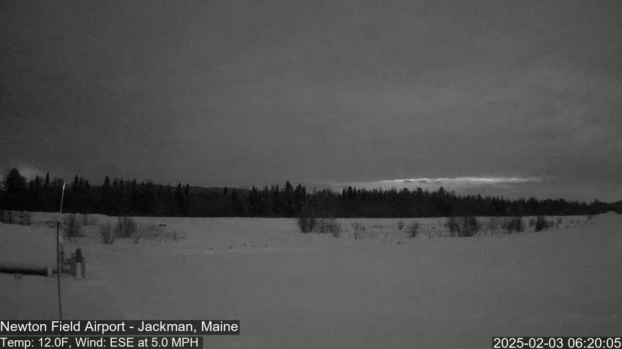 A snow-covered field stretches out before a dark, tree-lined horizon under a gray, overcast sky with a faint hint of lighter color near the horizon; a light wind blows from the east-southeast at 5 mph.