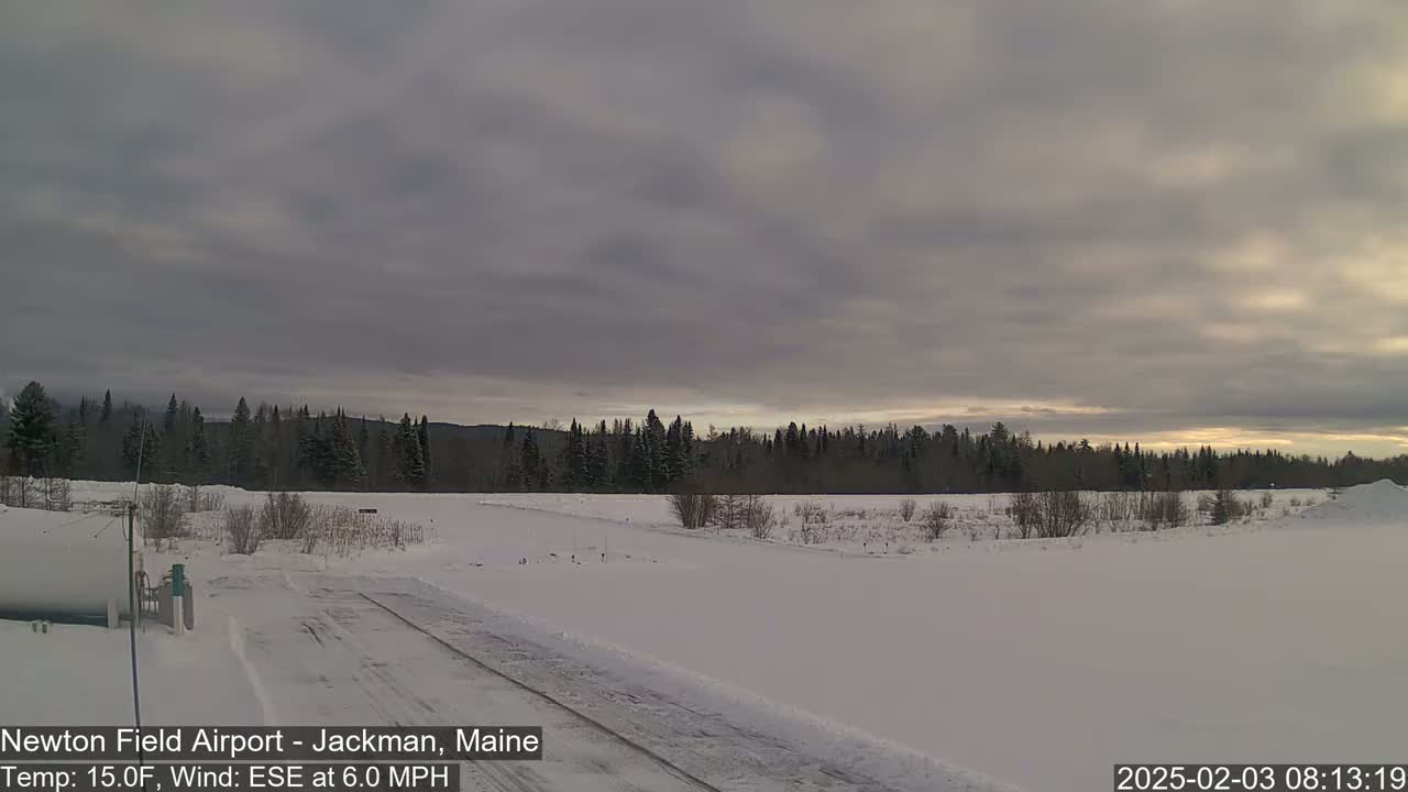 A snow-covered landscape featuring a road leading to a line of evergreen trees under a cloudy sky.