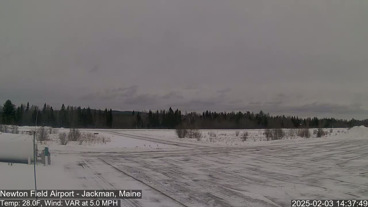 A snow-covered airfield with a line of dark evergreen trees in the background under a cloudy sky.