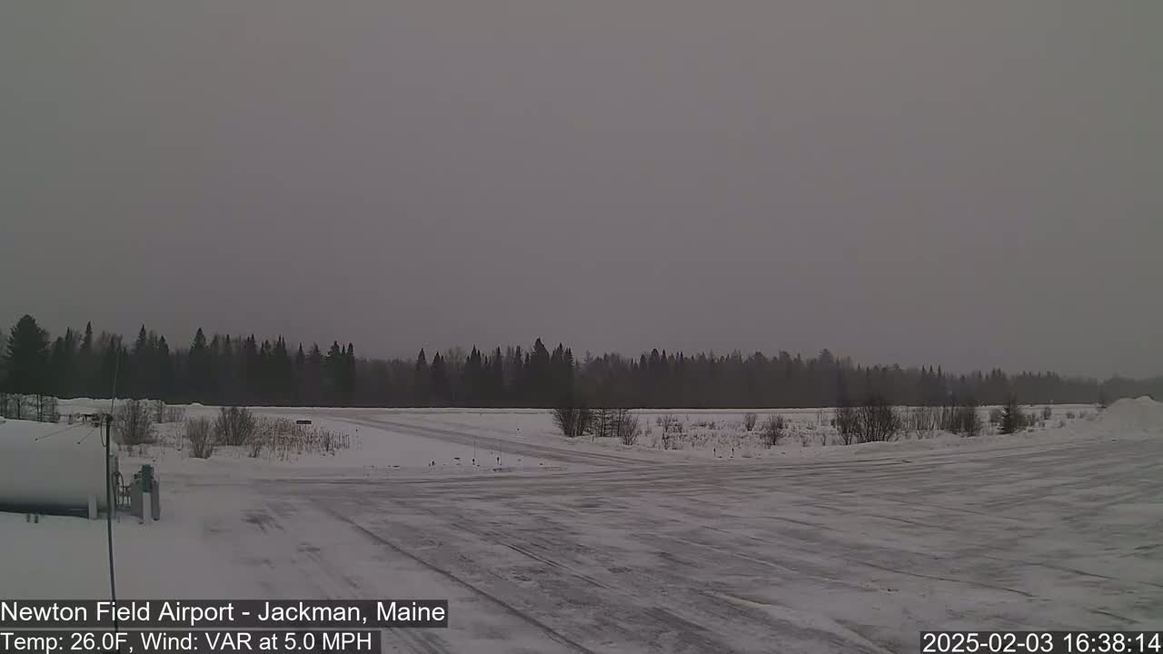 A snow-covered airfield with a line of dark trees in the background under an overcast sky.