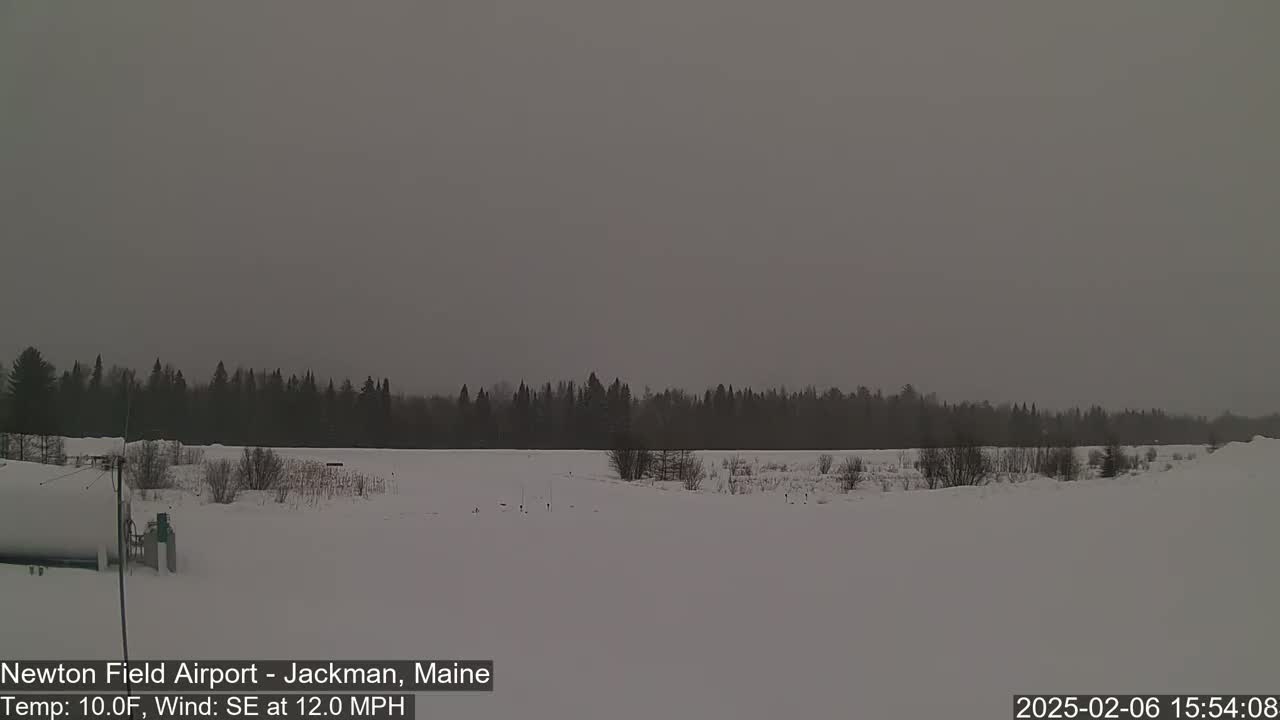 A snow-covered field stretches to a dark line of trees under a gray, overcast sky.