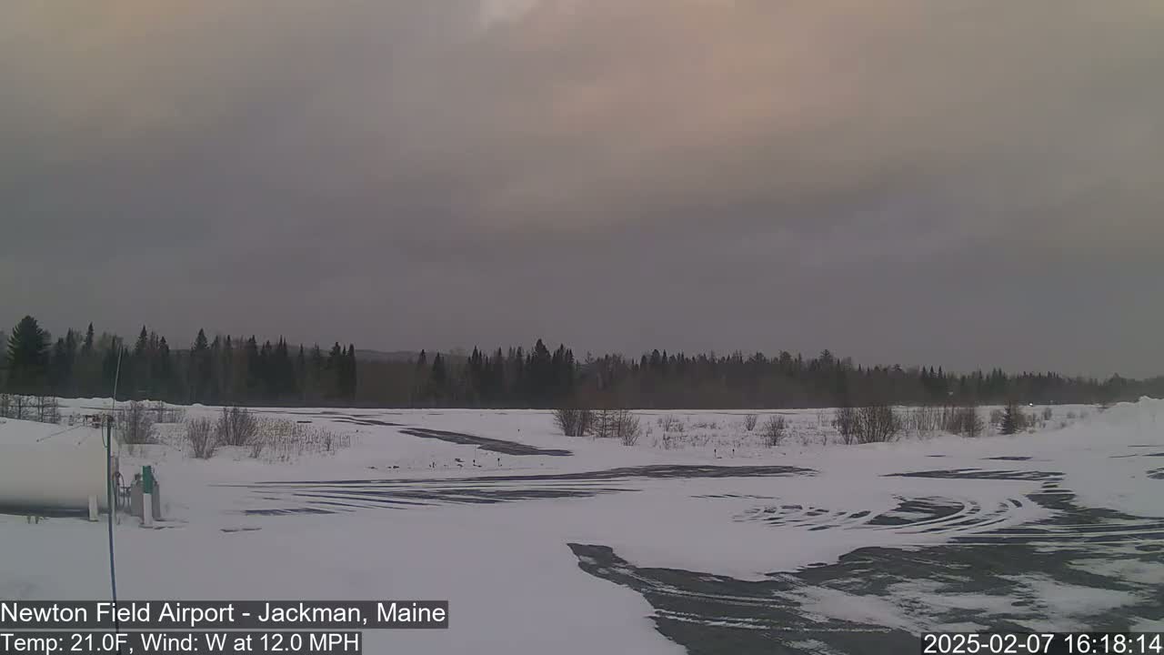 A snow-covered airfield with a line of dark trees in the background under an overcast sky.