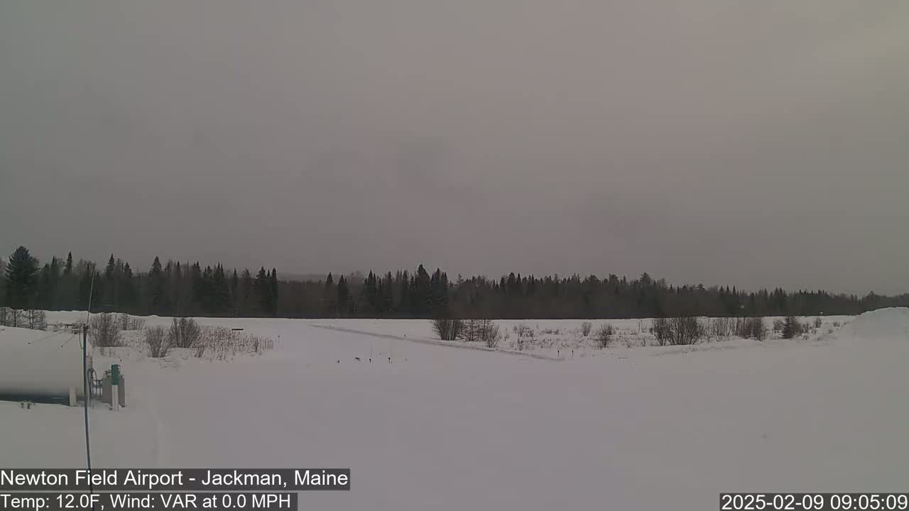 A snow-covered landscape with a line of dark trees in the background under an overcast sky.