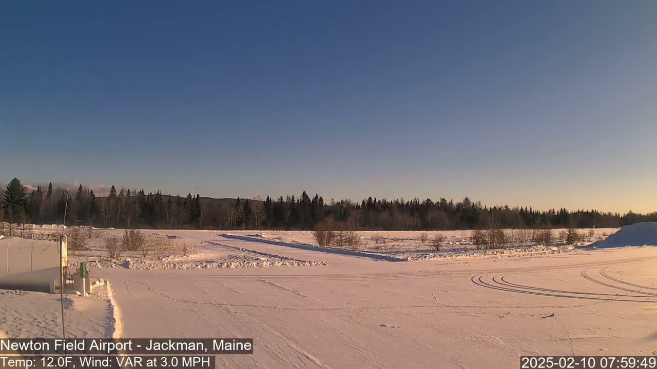 A snow-covered field with tire tracks and a line of trees in the background under a clear, blue sky.