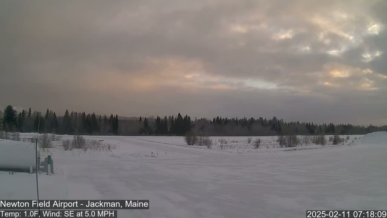 A snow-covered field stretches out before a line of dark evergreens under a mostly cloudy sky with a hint of sunrise.