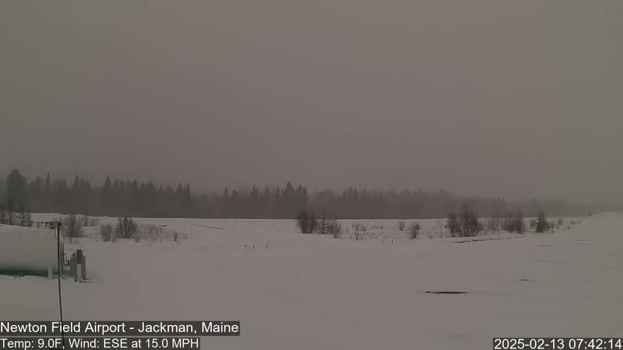 A snow-covered field stretches out to a line of trees under a hazy, gray sky.