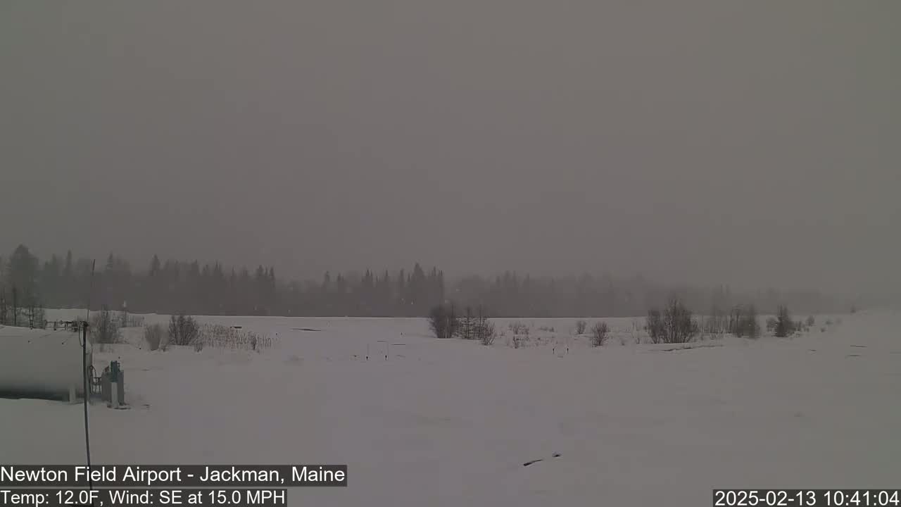 A snow-covered landscape with a line of trees in the distance during a snowy, overcast day with a southeasterly wind.