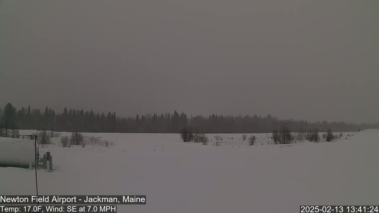 A snow-covered field stretches out to a line of dark trees under an overcast sky.