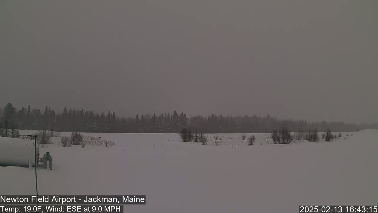A snow-covered field with a line of dark trees in the background under an overcast sky.