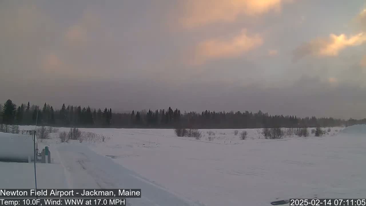 A snow-covered landscape with a line of trees in the distance under a pale, cloudy sky with hints of sunrise.