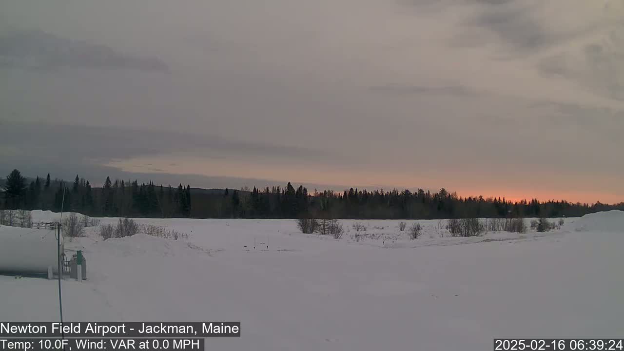 A snow-covered field at sunrise, with a line of trees in the background under a mostly cloudy sky.