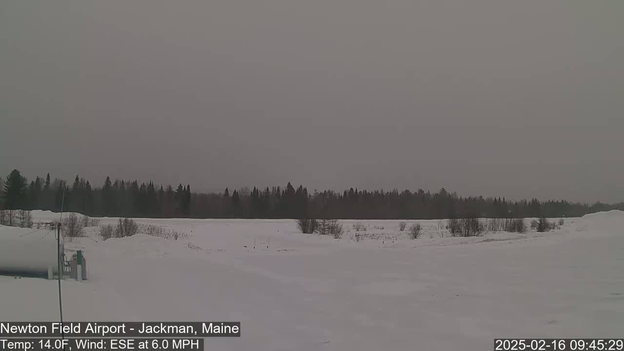 A snow-covered field stretches out before a line of dark trees under a gray, overcast sky.