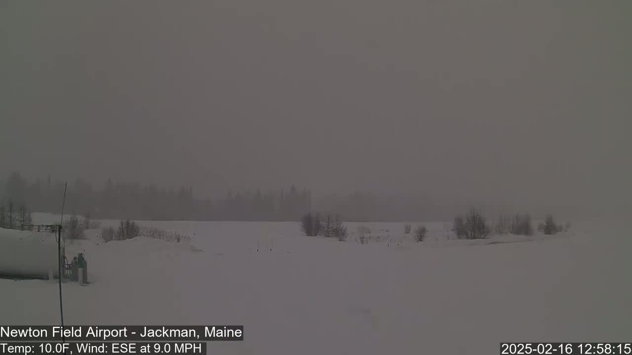 A snow-covered landscape with a distant line of trees is visible through a heavy, gray fog or blowing snow under a muted sky.