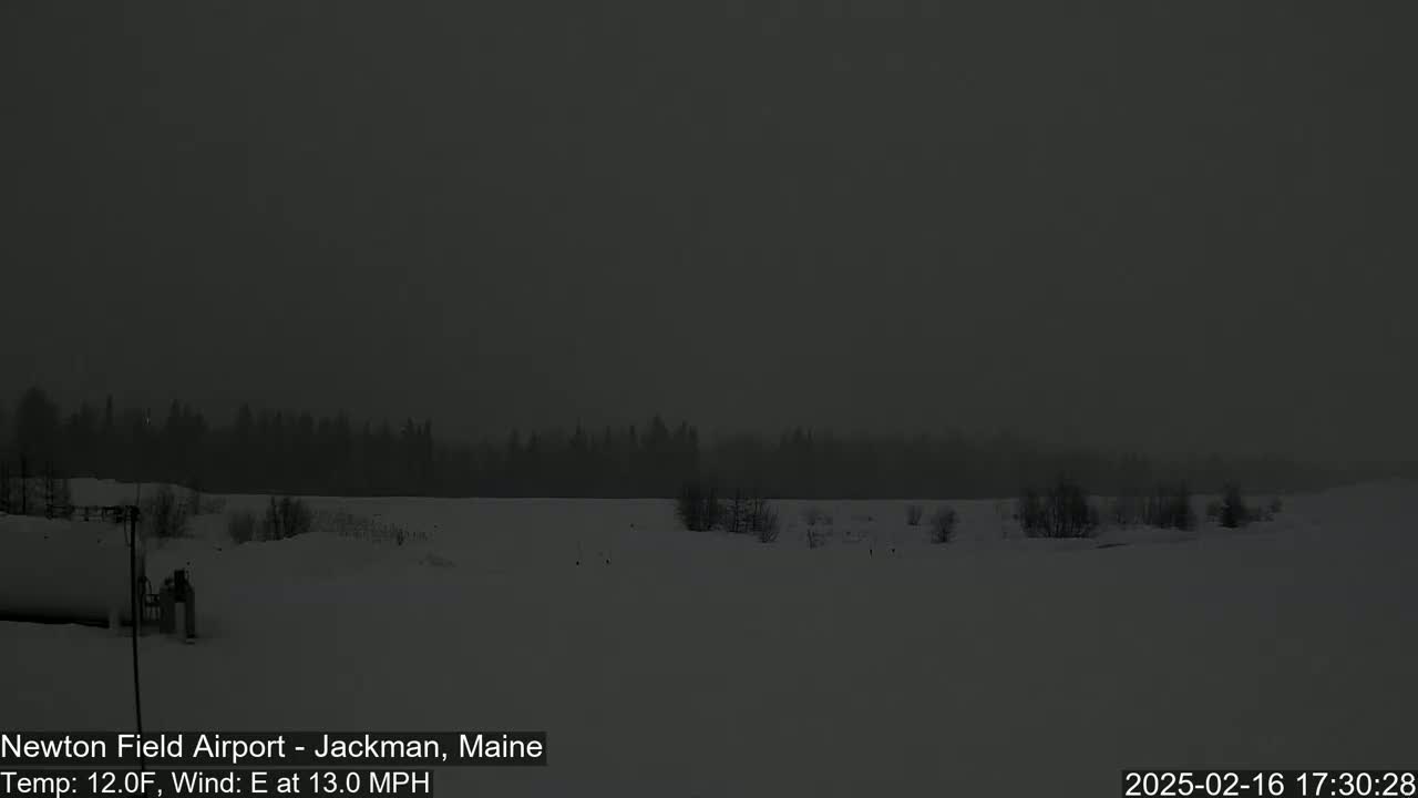 A snow-covered landscape with a dark, hazy sky and a distant line of trees is visible under windy, cold conditions.