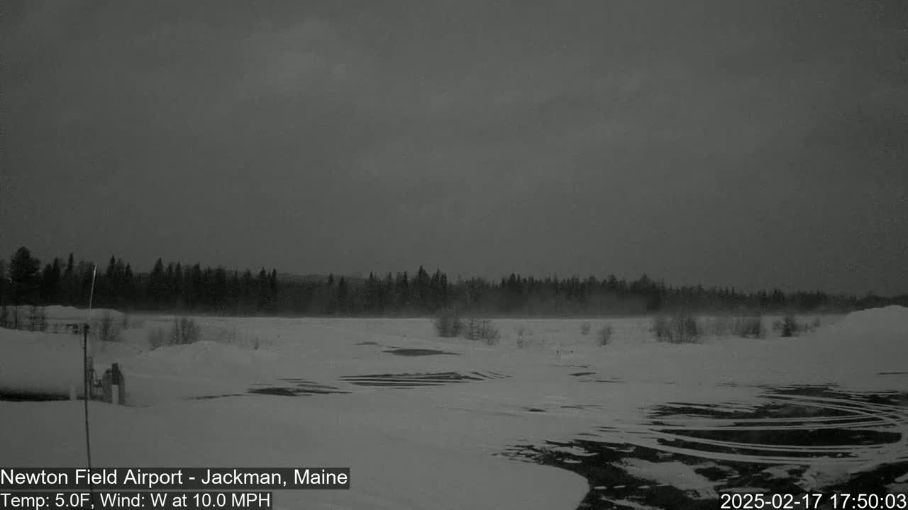 A snow-covered landscape with a line of dark trees in the background under an overcast sky, with a 10 mph westerly wind and a temperature of 5°F.