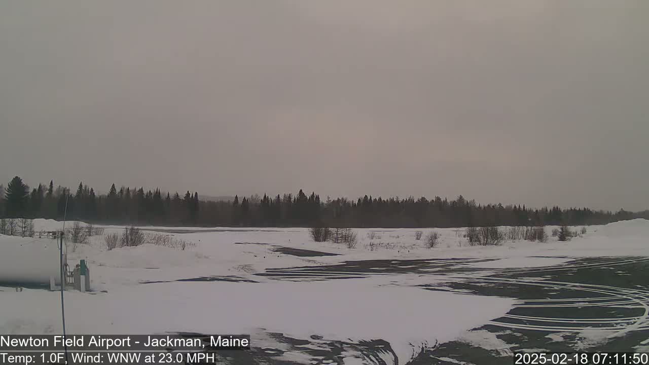 A snow-covered airfield with tire tracks on the tarmac is bordered by a line of dark evergreen trees under an overcast sky.