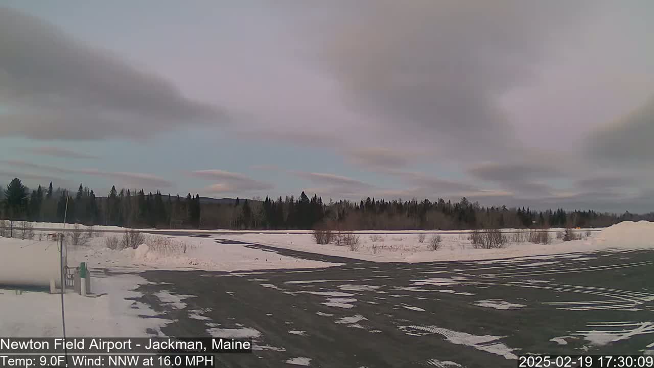 A snow-covered airfield is visible under a cloudy, overcast sky, with a line of trees in the background.