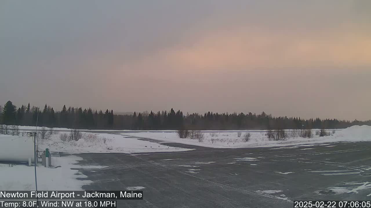 A snow-covered airport tarmac with a line of trees in the background under a pale pink and gray sky.