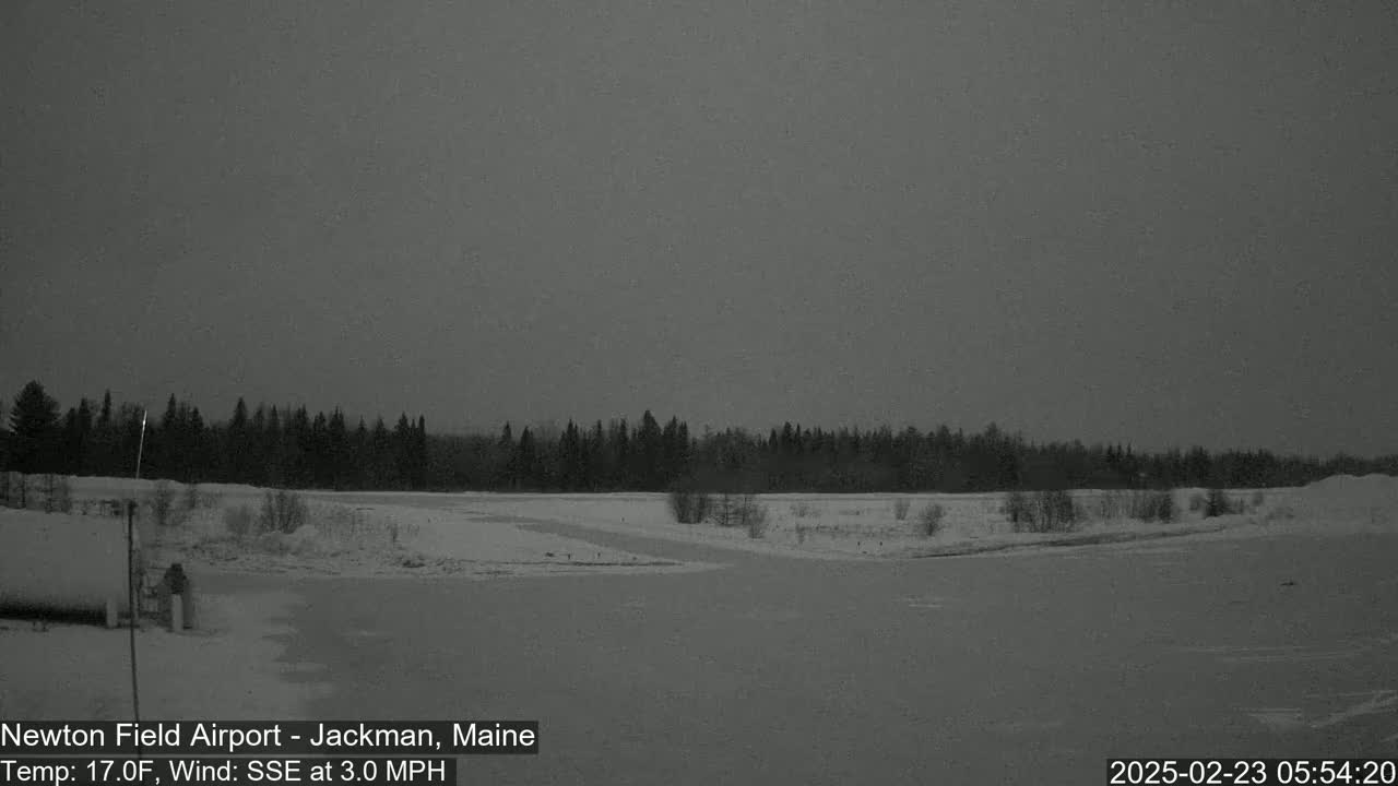 A snow-covered landscape with a line of trees in the background under an overcast sky.