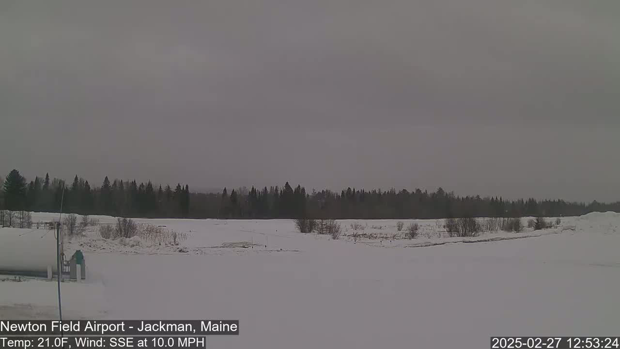 A snow-covered field stretches out to a dark line of trees under an overcast sky, with a light wind blowing from the south-southeast.