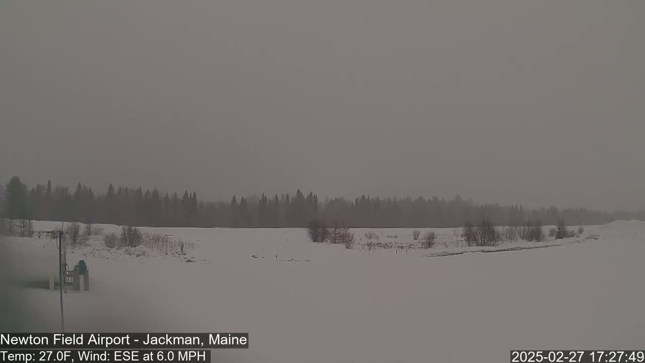 A snow-covered landscape featuring a line of trees in the distance under an overcast sky.