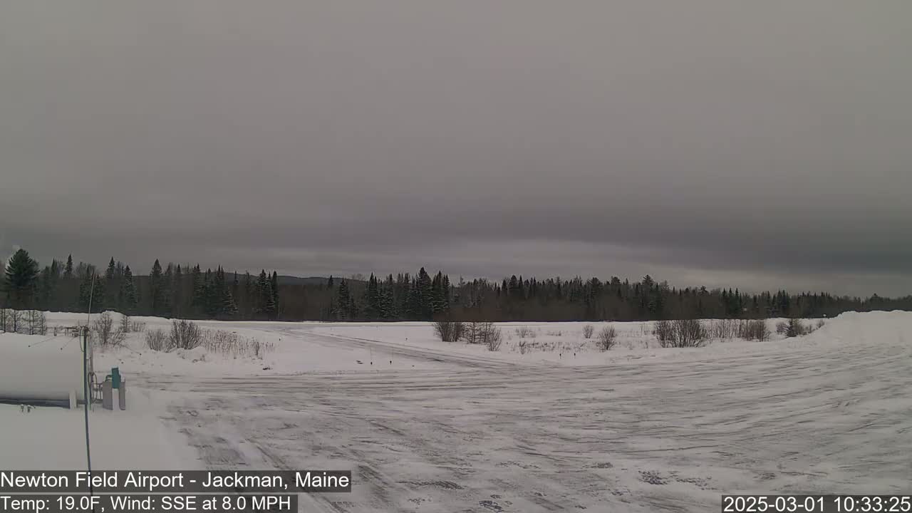 A snow-covered airfield with a line of trees in the background under an overcast sky.