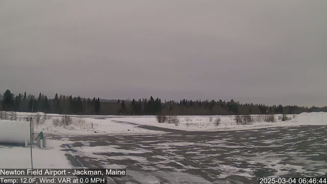 A snow-covered airfield with a line of dark trees in the background under an overcast sky.
