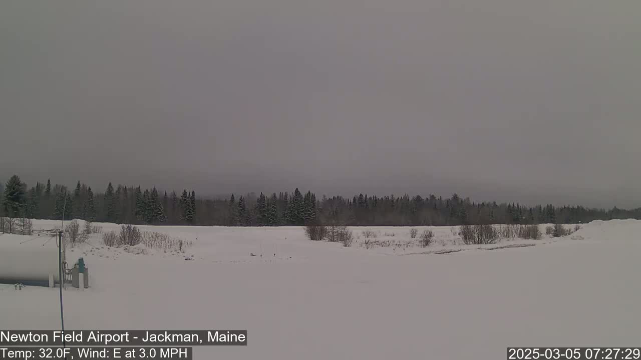 A snow-covered field stretches to a dark evergreen forest under an overcast sky.