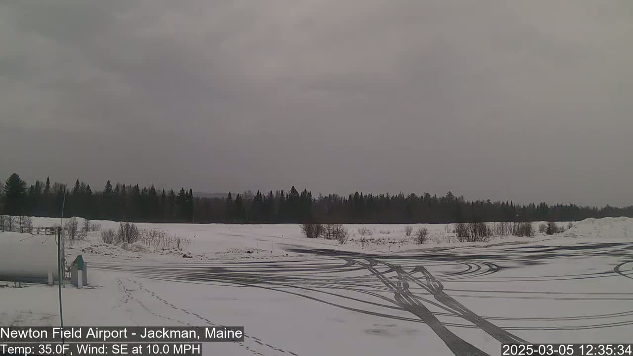 A snow-covered airfield with tire tracks is visible, backed by a line of dark evergreen trees under an overcast sky.