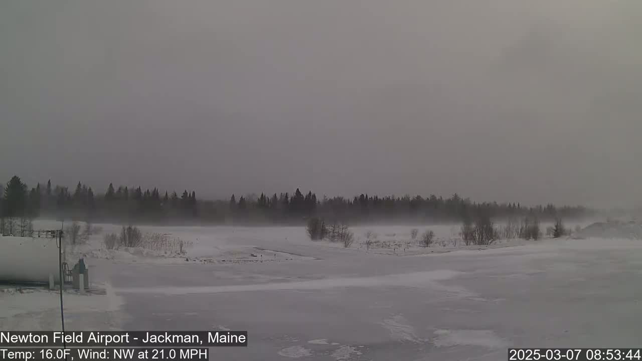 A snow-covered landscape with a line of trees in the distance is visible under an overcast sky, with a strong northwest wind blowing.