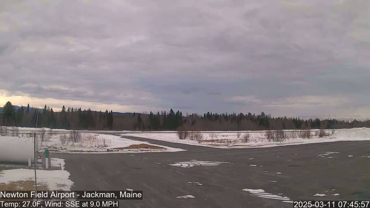 A snow-covered airfield with a line of trees in the background under an overcast sky.