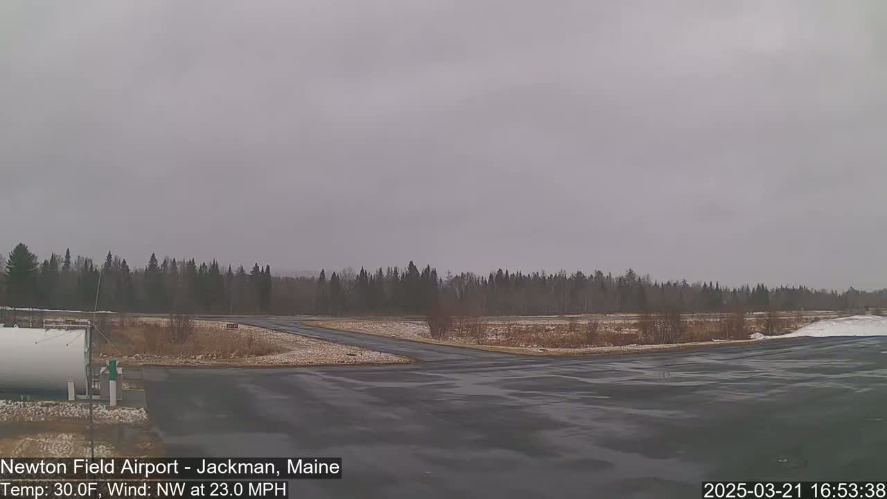 A mostly gray, overcast sky hangs over a sparsely vegetated airfield with a dark, wet tarmac, surrounded by a line of dark evergreen trees.