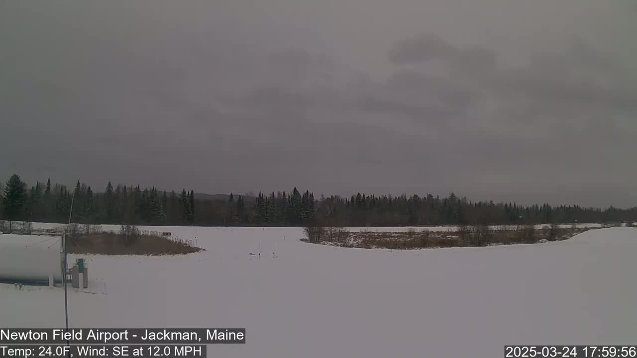 A snow-covered field stretches out before a line of dark evergreens under a gray sky, with a southeast wind blowing at 12 miles per hour.